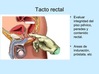 Patologia anorectales