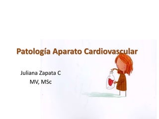 Patología Aparato Cardiovascular
Juliana Zapata C
MV, MSc
 