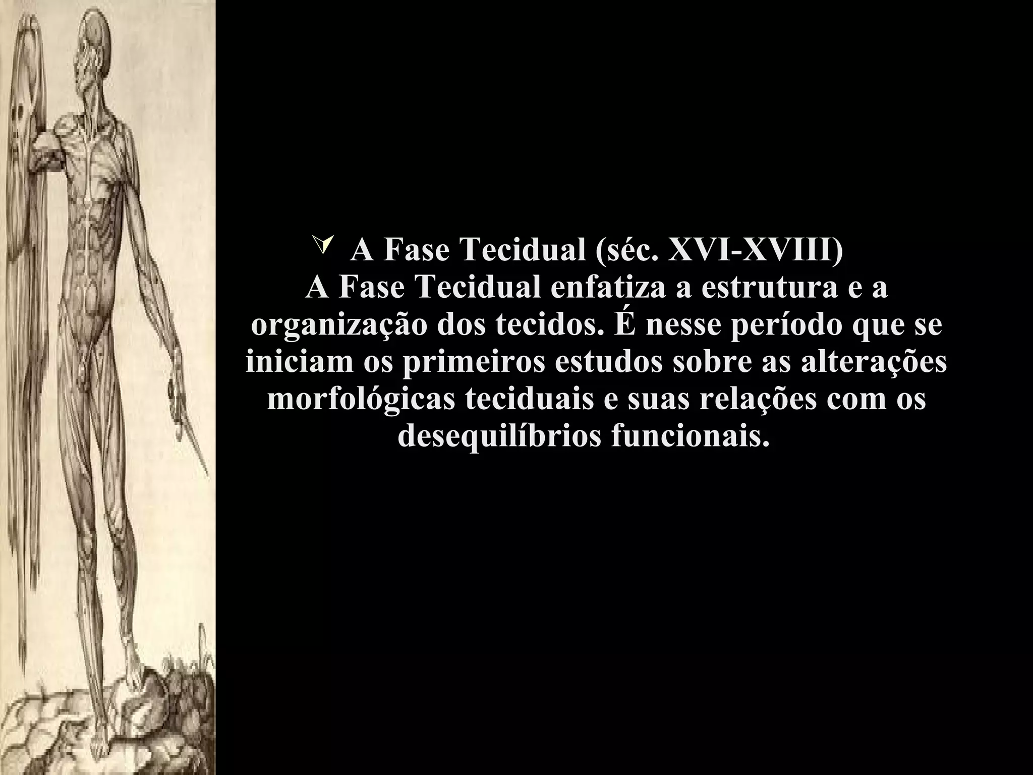  A Fase Tecidual (séc. XVI-XVIII)

A Fase Tecidual enfatiza a estrutura e a
organização dos tecidos. É nesse período que se
iniciam os primeiros estudos sobre as alterações
morfológicas teciduais e suas relações com os
desequilíbrios funcionais.

 