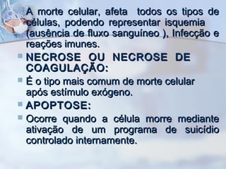 A morte celular, afeta todos os tipos de
células, podendo representar isquemia
(ausência de fluxo sanguíneo ), Infecção e
reações imunes.
 NECROSE OU NECROSE DE
COAGULAÇÃO:
 É o tipo mais comum de morte celular
após estímulo exógeno.
 APOPTOSE:
 Ocorre quando a célula morre mediante
ativação de um programa de suicídio
controlado internamente.


 