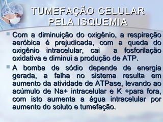 TUMEFAÇÃO CELULAR
PELA ISQUEMIA
Com a diminuição do oxigênio, a respiração
aeróbica é prejudicada, com a queda do
oxigênio intracelular, cai
a fosforilação
oxidativa e diminui a produção de ATP.
 A bomba de sódio depende de energia
gerada, a falha no sistema resulta em
aumento da atividade de ATPase, levando ao
acúmulo de Na+ intracelular e K +para fora,
com isto aumenta a água intracelular por
aumento do soluto e tumefação.


 