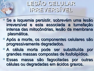 LESÃO CELULAR
IRREVERSÍVEL
Se a isquemia persistir, sobrevém uma lesão
irreversível e esta associada a tumefação
intensa das mitocôndrias, lesão da membrana
plasmática.
 Após a morte, os componentes celulares são
progressivamente degradados.
 A célula morta pode ser substituída por
grandes massas compostas de fosfolipídios.
 Essas massa são fagocitadas por outras
células ou degradadas em ácidos graxos.


 