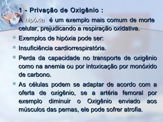 

1 - Privação de Oxigênio :



A hipóxia é um exemplo mais comum de morte
celular, prejudicando a respiração oxidativa.



Exemplos de hipóxia pode ser:



Insuficiência cardiorrespiratória.



Perda da capacidade no transporte de oxigênio
como na anemia ou por intoxicação por monóxido
de carbono.



As células podem se adaptar de acordo com a
oferta de oxigênio, se a artéria femoral por
exemplo diminuir o Oxigênio enviado aos
músculos das pernas, ele pode sofrer atrofia.

 