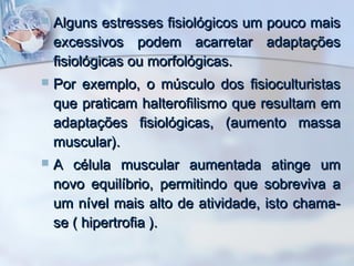 

Alguns estresses fisiológicos um pouco mais
excessivos podem acarretar adaptações
fisiológicas ou morfológicas.



Por exemplo, o músculo dos fisioculturistas
que praticam halterofilismo que resultam em
adaptações fisiológicas, (aumento massa
muscular).



A célula muscular aumentada atinge um
novo equilíbrio, permitindo que sobreviva a
um nível mais alto de atividade, isto chamase ( hipertrofia ).

 