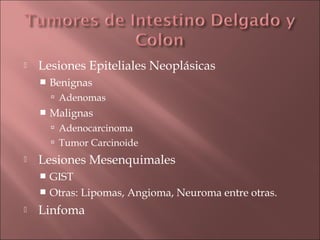    Lesiones Epiteliales Neoplásicas
       Benignas
         Adenomas
       Malignas
         Adenocarcinoma
         Tumor Carcinoide
   Lesiones Mesenquimales
     GIST
     Otras: Lipomas, Angioma, Neuroma entre otras.

   Linfoma
 