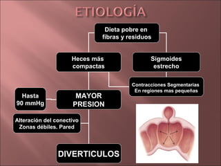 Dieta pobre en
                             fibras y residuos


                     Heces más                Sigmoides
                     compactas                 estrecho

                                       Contracciones Segmentarias
                                        En regiones mas pequeñas
  Hasta               MAYOR
90 mmHg              PRESION

Alteración del conectivo
 Zonas débiles. Pared




                DIVERTICULOS
 