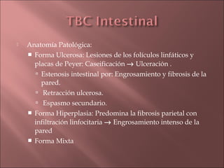    Anatomía Patológica:
     Forma Ulcerosa: Lesiones de los folículos linfáticos y
      placas de Peyer: Caseificación → Ulceración .
       Estenosis intestinal por: Engrosamiento y fibrosis de la
        pared.
       Retracción ulcerosa.
       Espasmo secundario.
     Forma Hiperplasia: Predomina la fibrosis parietal con
      infiltración linfocitaria → Engrosamiento intenso de la
      pared
     Forma Mixta
 