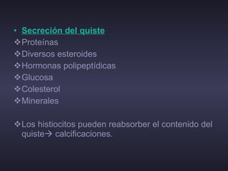 Secreción del quiste Proteínas  Diversos esteroides Hormonas polipeptídicas Glucosa Colesterol Minerales Los histiocitos pueden reabsorber el contenido del quiste   calcificaciones. 