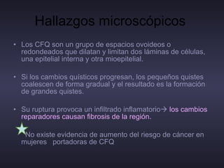 Hallazgos microscópicos  Los CFQ son un grupo de espacios ovoideos o redondeados que dilatan y limitan dos láminas de células, una epitelial interna y otra mioepitelial.  Si los cambios quísticos progresan, los pequeños quistes coalescen de forma gradual y el resultado es la formación de grandes quistes.  Su ruptura provoca un infiltrado inflamatorio    los cambios reparadores causan fibrosis de la región.  No existe evidencia de aumento del riesgo de cáncer en mujeres  portadoras de CFQ 