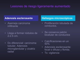 Lesiones de riesgo ligeramente aumentado Asemeja carcinoma infiltrante Llega a formar nódulos de 2-2.5 cm.  Dx diferencial: carcinoma tubular, Adenosis microglandular y cicatriz radial Proliferación lobulada de conductos. Se conserva patrón bicelular de conductos Calcificaciones en un 50% Adenosis esclerosante: focal o difusa y florida. Tx: vigilancia  Adenosis esclerosante Hallazgos microscópicos  