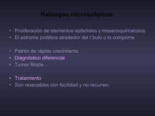 Hallazgos microscópicos   Proliferación de elementos epiteliales y mesensquimatosos  El estroma prolifera alrededor del túbulo o lo comprime  Patrón de rápido crecimiento Diagnóstico diferencial :  Tumor filoide Tratamiento  Son resecables con facilidad y no recurren.  