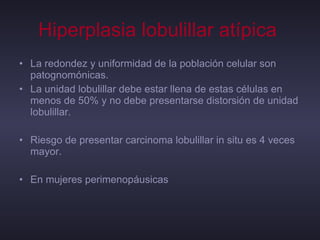 Hiperplasia lobulillar atípica   La redondez y uniformidad de la población celular son patognomónicas.  La unidad lobulillar debe estar llena de estas células en menos de 50% y no debe presentarse distorsión de unidad lobulillar.  Riesgo de presentar carcinoma lobulillar in situ es 4 veces mayor. En mujeres perimenopáusicas  