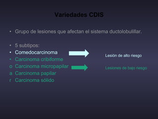 Variedades CDIS Grupo de lesiones que afectan el sistema ductolobulillar. 5 subtipos:  Comedocarcinoma Carcinoma cribiforme Carcinoma micropapilar Carcinoma papilar Carcinoma sólido   Lesiones de bajo riesgo  Lesión de alto riesgo 