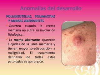 Anomalías del desarrollo
POLIAREOTELIAS, POLIMASTIASPOLIAREOTELIAS, POLIMASTIAS
Y MAMAS ABERRANTESY MAMAS ABERRANTES
Ocurren cuando la cresta
mamaria no sufre su involución
fisiológica.
La mama aberrantemama aberrante aparecen
alejadas de la línea mamaria y
tienen mayor predisposición a
malignidad. El tratamiento
definitivo de todas estas
patologías es quirúrgico.
 