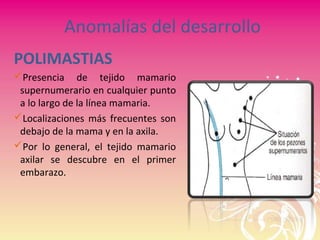 Anomalías del desarrollo
POLIMASTIAS
Presencia de tejido mamario
supernumerario en cualquier punto
a lo largo de la línea mamaria.
Localizaciones más frecuentes son
debajo de la mama y en la axila.
Por lo general, el tejido mamario
axilar se descubre en el primer
embarazo.
 