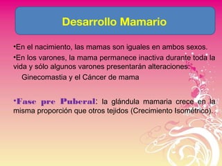 Desarrollo Mamario
•En el nacimiento, las mamas son iguales en ambos sexos.
•En los varones, la mama permanece inactiva durante toda la
vida y sólo algunos varones presentarán alteraciones:
Ginecomastia y el Cáncer de mama
•Fase pre Puberal: la glándula mamaria crece en la
misma proporción que otros tejidos (Crecimiento Isométrico).
 