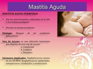 Mastitis AgudaMastitis Aguda
MASTITIS AGUDA PUERPERAL
 Son las más frecuentes, sobretodo en la 2da
o 3ra semana postparto
 Durante la lactancia materna
Etiología: bloqueo de los conductos
galactóforos
Vías de Acceso: es una infección bacteriana
que dispone de tres vías de acceso:
a. Canalicular
b. Linfática
c. Hemática
Gérmenes implicados: Staphylococcus aureus
en un 65-90%, Syaphylococcus epidermitis,
estreptococos, cocobacilos y neumococos.
 