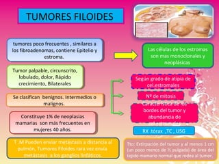 TUMORES FILOIDES
tumores poco frecuentes , similares a
los fibroadenomas, contiene Epitelio y
estroma.
tumores poco frecuentes , similares a
los fibroadenomas, contiene Epitelio y
estroma.
Las células de los estromas
son mas monoclonales y
neoplásicas
Se clasifican benignos. Intermedios o
malignos.
Se clasifican benignos. Intermedios o
malignos.
Según grado de atipia de
cel.estromales
Nº de mitosis
Característica de los
bordes del tumor y
abundancia de
cel.estromales
Constituye 1% de neoplasias
mamarias son más frecuentes en
mujeres 40 años.
Constituye 1% de neoplasias
mamarias son más frecuentes en
mujeres 40 años.
T .M Pueden enviar metástasis a distancia al
pulmón, Tumores Filoides rara vez envía
metástasis a los ganglios linfáticos.
RX .tórax ,TC , USG
Tumor palpable, circunscrito,
lobulado, dolor, Rápido
crecimiento, Bilaterales
Tumor palpable, circunscrito,
lobulado, dolor, Rápido
crecimiento, Bilaterales
Tto: Extirpación del tumor y al menos 1 cm
(un poco menos de ½ pulgada) de área del
tejido mamario normal que rodea al tumor.
 