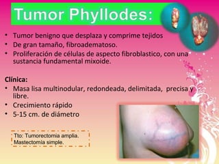 • Tumor benigno que desplaza y comprime tejidos
• De gran tamaño, fibroadematoso.
• Proliferación de células de aspecto fibroblastico, con una
sustancia fundamental mixoide.
Clínica:
• Masa lisa multinodular, redondeada, delimitada, precisa y
libre.
• Crecimiento rápido
• 5-15 cm. de diámetro
Tto: Tumorectomia amplia.
Mastectomía simple.
 