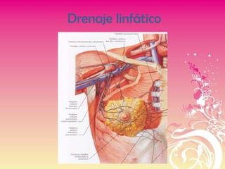 Drenaje linfático
 