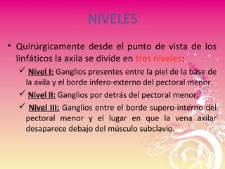 NIVELES
• Quirúrgicamente desde el punto de vista de los
linfáticos la axila se divide en tres niveles:
 Nivel I: Ganglios presentes entre la piel de la base de
la axila y el borde ínfero-externo del pectoral menor.
 Nivel II: Ganglios por detrás del pectoral menor.
 Nivel III: Ganglios entre el borde supero-interno del
pectoral menor y el lugar en que la vena axilar
desaparece debajo del músculo subclavio.
 