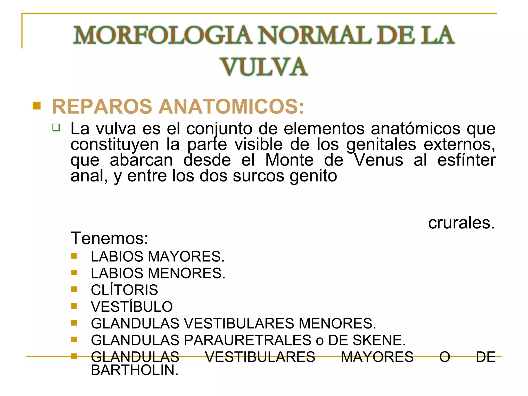 Patologia benigna de vukva ginecologia | PPT
