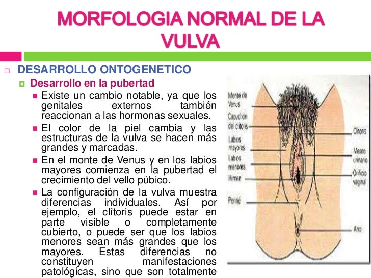El cuidado de la cutis hasta la máscara