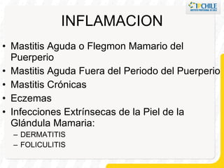 INFLAMACION Mastitis Aguda o Flegmon Mamario del Puerperio Mastitis Aguda Fuera del Periodo del Puerperio Mastitis Crónicas Eczemas Infecciones Extrínsecas de la Piel de la Glándula Mamaria: DERMATITIS FOLICULITIS 