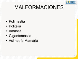 MALFORMACIONES Polimastia Politelia Amastia Gigantomastia Asimetría Mamaria 