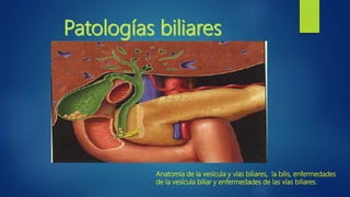 Anatomía de la vesícula y vías biliares, la bilis, enfermedades
de la vesícula biliar y enfermedades de las vías biliares.
 