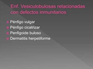  Pénfigo vulgar
 Pénfigo cicatrizar
 Penfigoide buloso
 Dermatitis herpetiforme
 