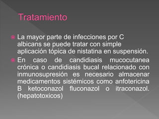  La mayor parte de infecciones por C
albicans se puede tratar con simple
aplicación tópica de nistatina en suspensión.
 En caso de candidiasis mucocutanea
crónica o candidiasis bucal relacionado con
inmunosupresión es necesario almacenar
medicamentos sistémicos como anfotericina
B ketoconazol fluconazol o itraconazol.
(hepatotoxicos)
 