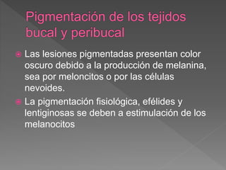  Las lesiones pigmentadas presentan color
oscuro debido a la producción de melanina,
sea por meloncitos o por las células
nevoides.
 La pigmentación fisiológica, efélides y
lentiginosas se deben a estimulación de los
melanocitos
 