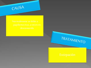 Normalmente se debe a
papilomavirus, a veces es
desconocida
Extirpación
 