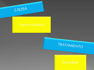 Treponemapallidum
Penicilina
 