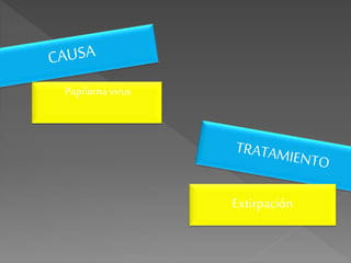 Papilomavirus
Extirpación
 