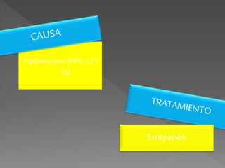 Papilomavirus (HPV, 13 Y
32)
Extirpación
 