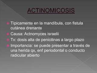  Típicamente en la mandíbula, con fistula
cutánea drenante
 Causa: Actnomyces israelii
 Tx: dosis alta de penicilinas a largo plazo
 Importancia: se puede presentar a través de
una herida qx, enf periodontal o conducto
radicular abierto
 