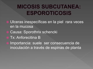  Ulceras inespecíficas en la piel rara veces
en la mucosa
 Causa: Sporothrix schencki
 Tx: Anforecitina B
 Importancia: suele ser consecuencia de
inoculación a través de espinas de planta
 