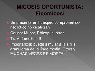  Se presenta en huésped comprometido;
necrótico no cicatrizan
 Causa: Mucor, Rhizopus, otros
 Tx: Anforecitina B
 Importancia: puede simular a la sífilis,
granuloma de la línea media. Otros y
MUCHAS VECES ES MORTAL
 