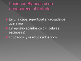  Es una capa superficial engrosada de
queratina
 Un epitelio acantosico ( + celulas
espinosas)
 Exudados y residuos adheridos
 
