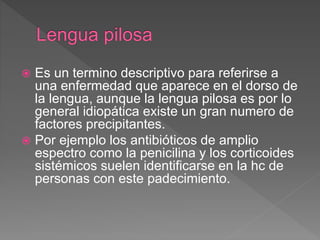  Es un termino descriptivo para referirse a
una enfermedad que aparece en el dorso de
la lengua, aunque la lengua pilosa es por lo
general idiopática existe un gran numero de
factores precipitantes.
 Por ejemplo los antibióticos de amplio
espectro como la penicilina y los corticoides
sistémicos suelen identificarse en la hc de
personas con este padecimiento.
 