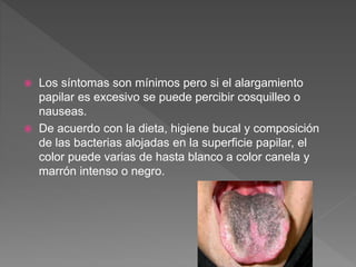  Los síntomas son mínimos pero si el alargamiento
papilar es excesivo se puede percibir cosquilleo o
nauseas.
 De acuerdo con la dieta, higiene bucal y composición
de las bacterias alojadas en la superficie papilar, el
color puede varias de hasta blanco a color canela y
marrón intenso o negro.
 