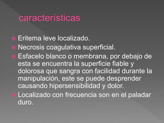  Eritema leve localizado.
 Necrosis coagulativa superficial.
 Esfacelo blanco o membrana, por debajo de
esta se encuentra la superficie fiable y
dolorosa que sangra con facilidad durante la
manipulación, este se puede desprender
causando hipersensibilidad y dolor.
 Localizado con frecuencia son en el paladar
duro.
 