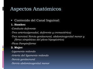 Aspectos AnatómicosContenido del Canal Inguinal:1. Hombre:-Conducto deferente-Tres arterias(gonadal, deferente y cremastérica)-Tres nervios( Nervio genitocrural, abdominogenital menor y fibras simpáticas del plexo hipogástrico)-Plexo Pampiniforme2. Mujer:-Ligamento redondo-Arteria del ligamento redondo-Nervio genitocrural-Nervio abdominogenital menor