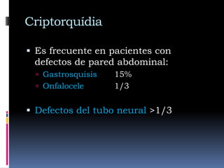 Quiste de cordón espermáticoMasa redondeada, indolora, separada del testículoEs un hidrocele del cordón espermático