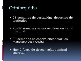 Diagnóstico diferencial con hernia inguinalHidrocele es más móvil que la hernia y no dolorosoTransiluminación positiva