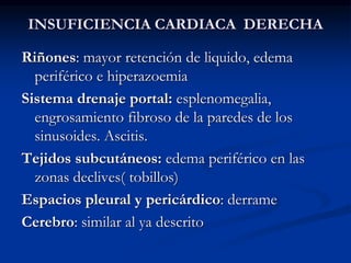 INSUFICIENCIA CARDIACA DERECHA
Riñones: mayor retención de liquido, edema
periférico e hiperazoemia
Sistema drenaje portal: esplenomegalia,
engrosamiento fibroso de la paredes de los
sinusoides. Ascitis.
Tejidos subcutáneos: edema periférico en las
zonas declives( tobillos)
Espacios pleural y pericárdico: derrame
Cerebro: similar al ya descrito
 