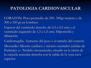 PATOLOGIA CARDIOVASCULAR
CORAZÓN: Peso promedio de 250- 300gr mujeres y de
300 a 350 gr en hombres
Espesor del ventrículo derecho de 0,3 a 0,5 cms y el
ventrículo izquierdo de 1,3 a 1,5 cms. Hipertrofia y
dilatación.
Cardiomegalia. Aumento del peso o el tamaño del corazón
Miocardio: Miocito cardiaco y miocito excitador (células de
Purkinje): a.- Nódulo sinoauricular, situado en la unión de
la orejuela auricular derecha con la salida de la vena cava
superior
 