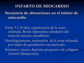 INFARTO DE MIOCARDIO
Secuencia de alteraciones en el infarto de
miocardio
Entre 3 y 10 días, organización de la zona
infartada. Borde hiperémico alrededor del
músculo muerto amarillento.
Histológicamente, sustitución de la zona infartada
por tejido de granulación vascularizado.
Semanas y meses, depósito progresivo de colágeno
(cicatriz blanquecina)
 